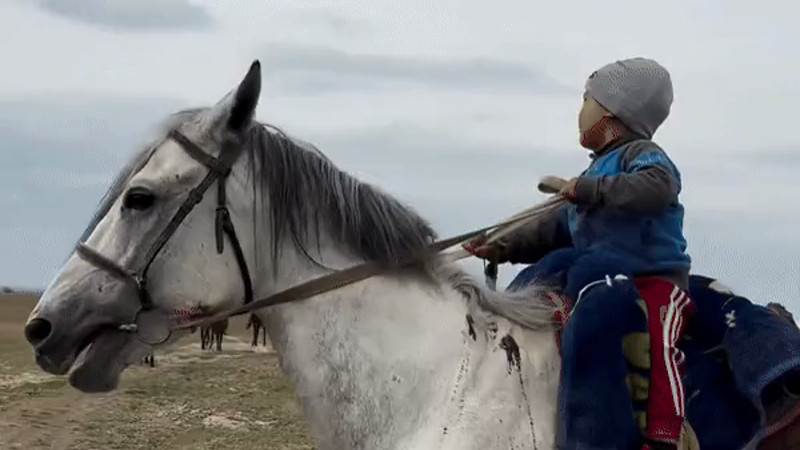 Кадры из видео