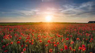 Как отдыхаем в июне - календарь для Казахстана