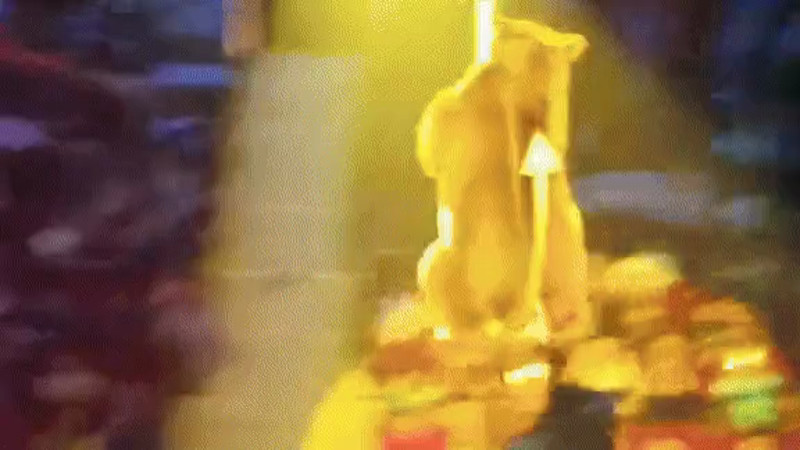 Кадры из видео