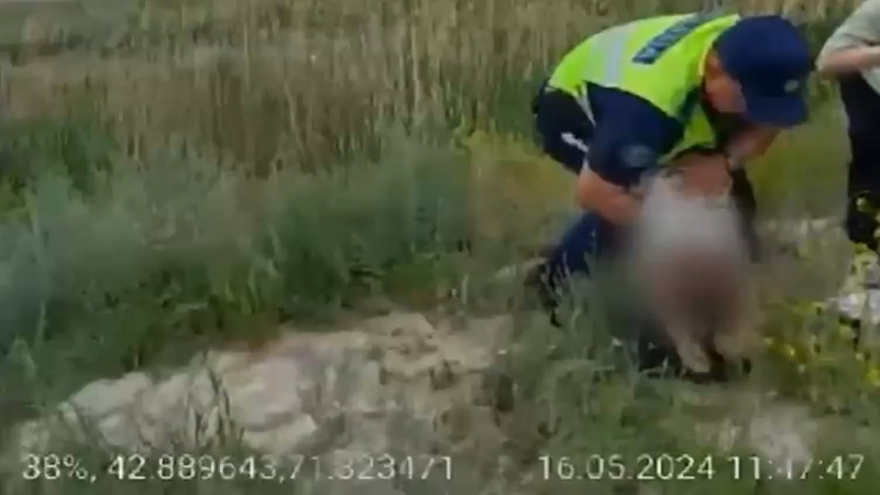 Видео предоставлено пресс-службой МВД