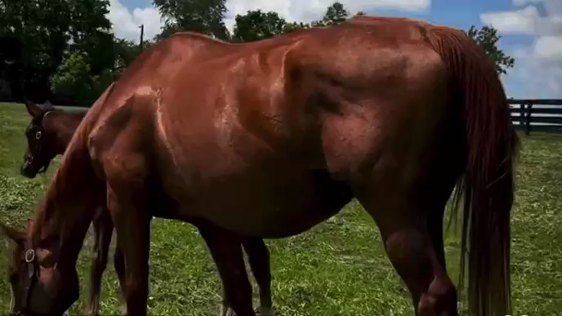 Кадры из видео