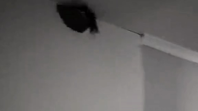 Кадры из видео