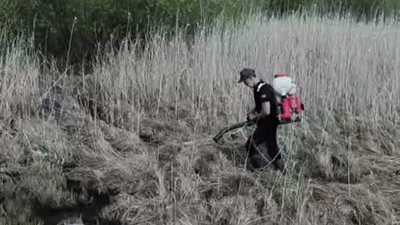 Кадры из видео