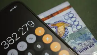 Запрет на выдачу кредитов: сенаторы вернули закон в Мажилис