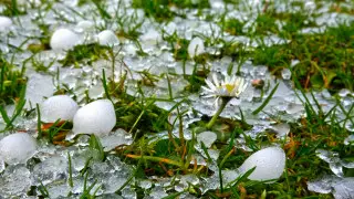 Гроза с градом обрушатся на Астану