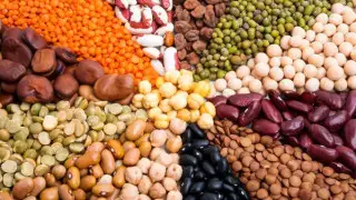 Диетолог назвала пищевые предпочтения долгожителей