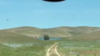 Пропавший год назад табун лошадей нашли в Жетысу