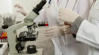 Ученые нашли способ побороть вызывающий рак вирус Эпштейна -  Барр