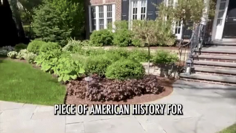 Кадры из видео