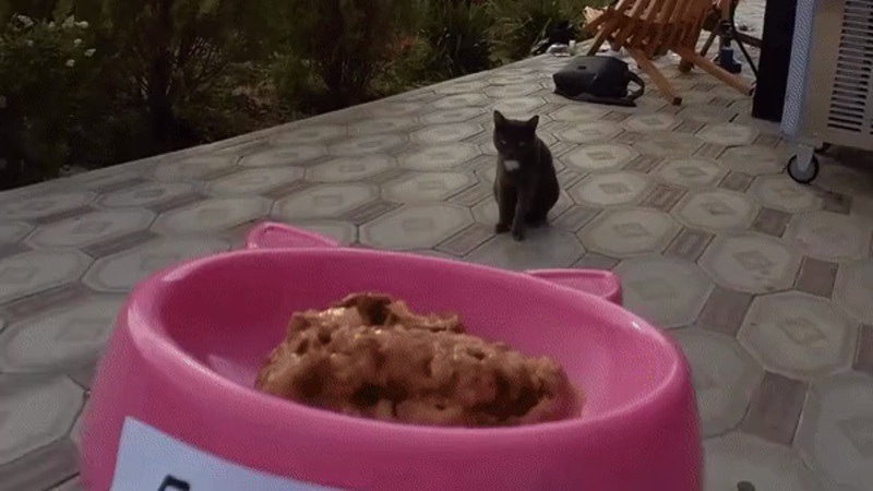 Кадры из видео