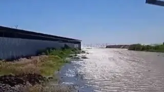 Пляжи затопило в Конаеве. Угрозы подтопления домов нет - акимат