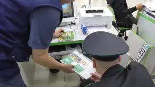 Ущерб в 380 миллионов за постановку авто на учет: экс-инспектору и предпринимательнице дали срок