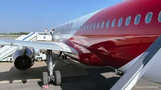 "Доступна компенсация": задержку рейса на 12 часов объяснили в авиакомпании