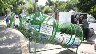 Первый экохаб, экодень и уход за деревьями: в Алматы продолжается акция "Таза Қазақстан"