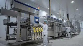 "Шин-Лайн" прокомментировала сообщение "Роскачества" о кишечной палочке