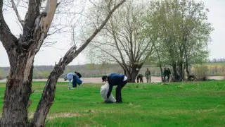 Не нужно взваливать всю работу на акимов - Токаев о чистоте на улицах