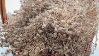 Куда нельзя брать с собой адыраспан, рассказали в Генпрокуратуре