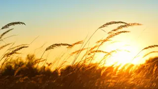 40-градусная жара ударит по Казахстану