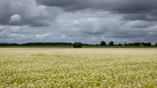 Какой будет погода в Астане и Алматы в ближайшие 3 дня
