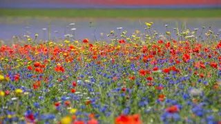 Сильная жара, туман и грозы: погода в Казахстане на сегодня, 5 июня