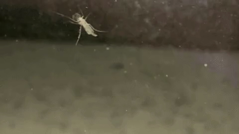 Кадры из видео