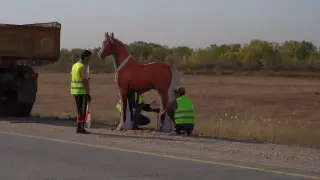 Искусственные лошади "заполонили" республиканские трассы страны