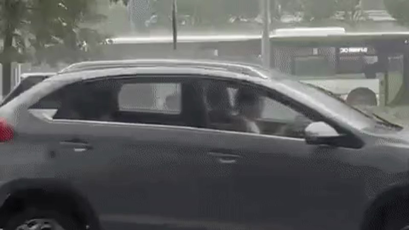 Кадры из видео