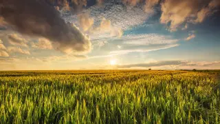 Погодные аномалии в Казахстане: к чему готовиться на выходных