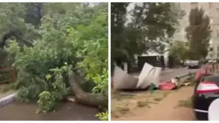 Шквальный ветер вырывал с корнем деревья и срывал кровлю в Актобе