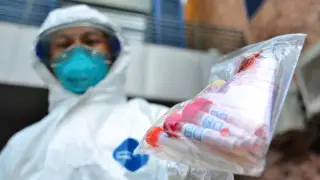 Птичий грипп обнаружен в 10 американских штатах