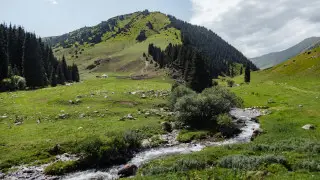 Названы самые селеопасные реки Алматинской области