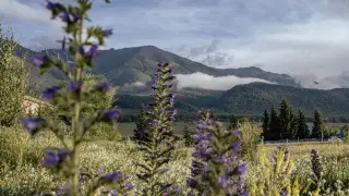 Плюс 40, грозы и пыльные бури: погода в Казахстане на сегодня, 13 июня