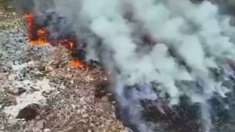 Кадры из видео