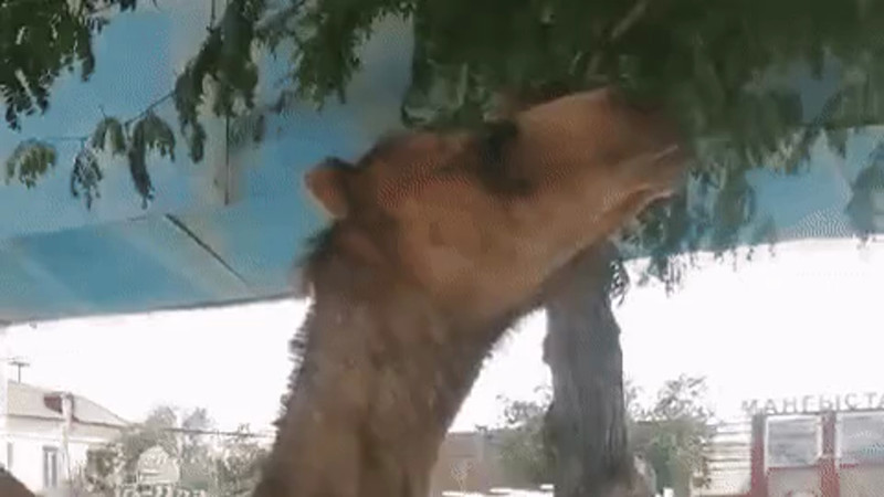 Кадры из видео