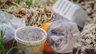 В помойку превратили берег реки жители Уральска