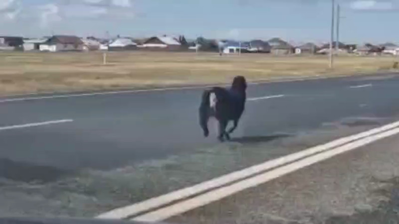 Кадры из видео