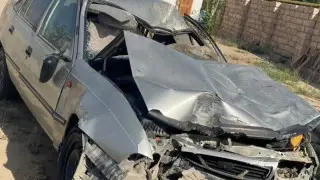 Семья с грудным ребенком попала в аварию из-за лошади в Жанаозене