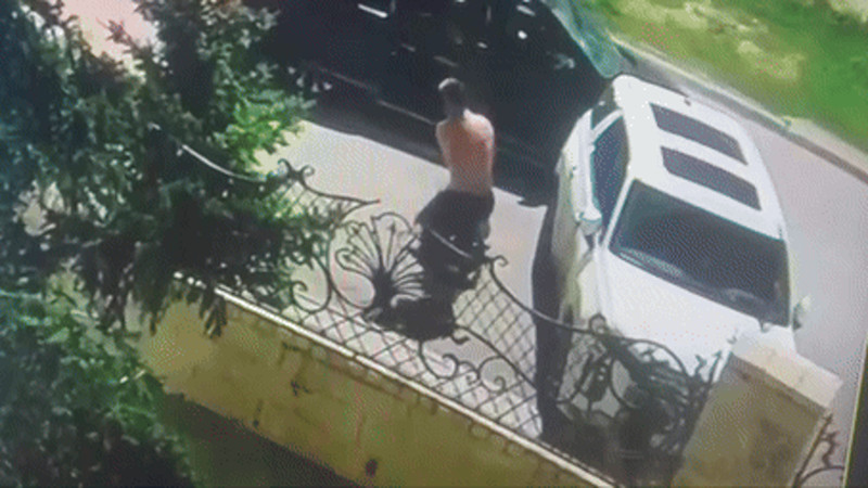 Кадр из видео t.me/kozachkow