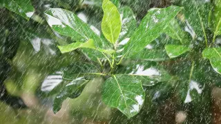 Грозы и дожди не уходят: погода в Алматы и Астане на 3 дня