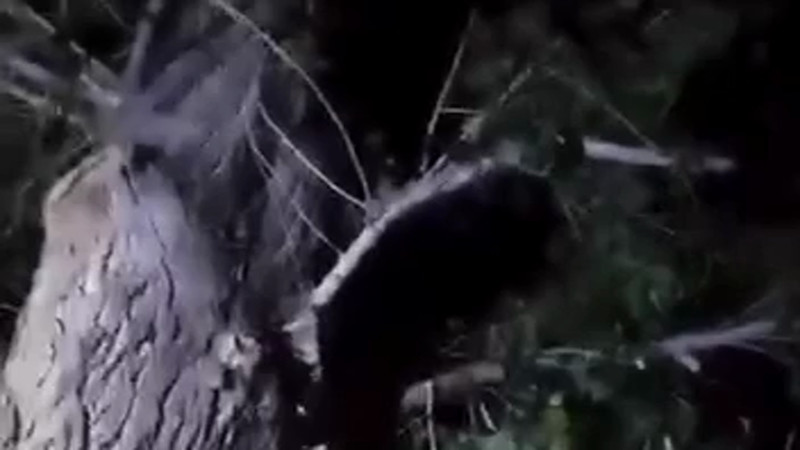 Кадры из видео