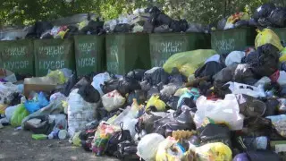 "Вонь и крысы": костанайцы пожаловались на проблемы с вывозом мусора
