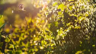 Грозы, шквал и 41-градусная жара: погода в Казахстане на сегодня, 21 июня