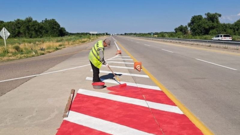 Фото: Комитет автомобильных дорог