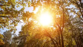 Какая погода ожидает казахстанцев 23 июня