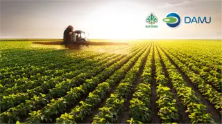 Фонд "Даму" расширяет инструмент гарантирования