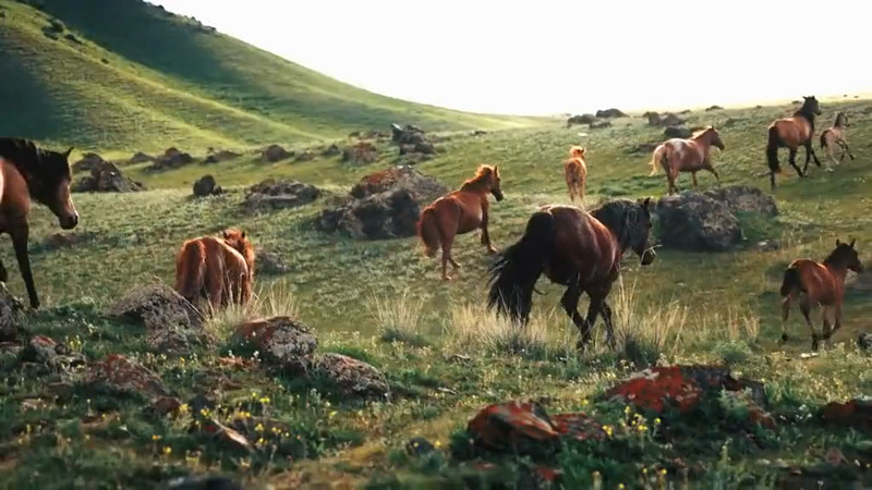 Кадры из видео