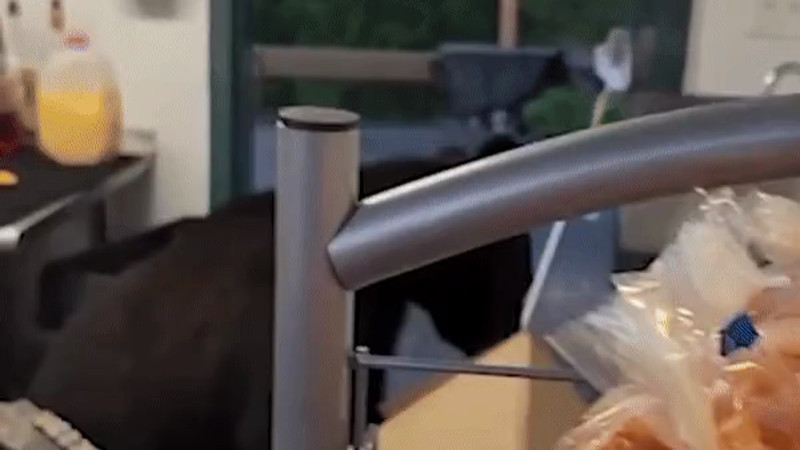 Кадры из видео