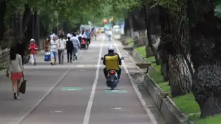 280 мопедистов привлекли к ответственности в Акмолинской области