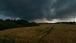 Какой будет погода в Казахстане 1 июля