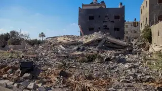 Появились новые данные о числе погибших в секторе Газа